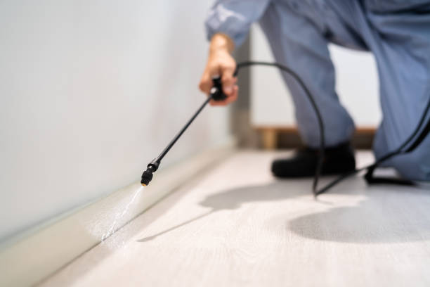 Licensed Termite Control service in Ponchatoula, LA - Nex Pest Control
