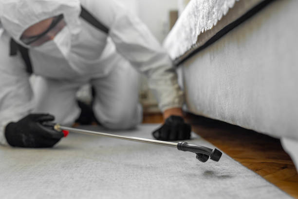 Professional Termite Control technician working in Ponchatoula, LA