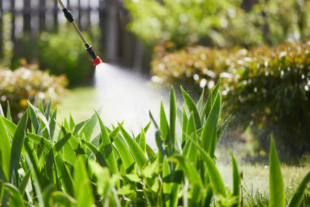 24/7 Emergency Termite Control experts in Ponchatoula, LA