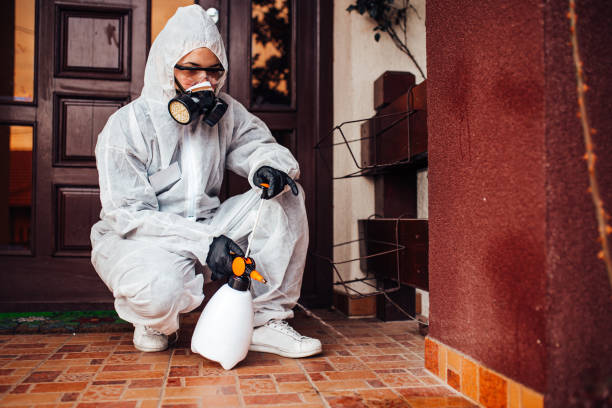 Reliable Termite Control contractor in Ponchatoula, LA by Nex Pest Control